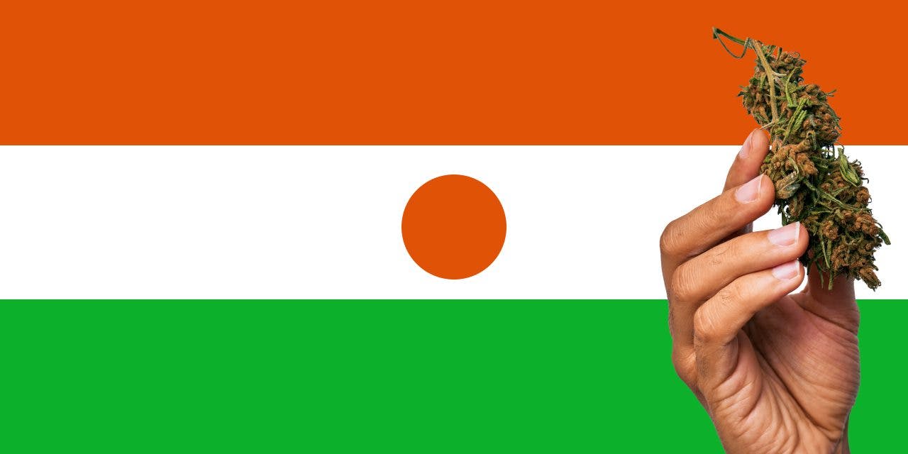 Niger flag with marijuana in front of it