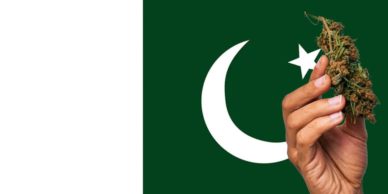 Pakistan flag with marijuana in front of it