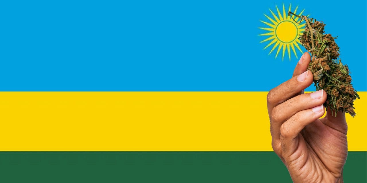 Rwandan flag with marijuana in front.