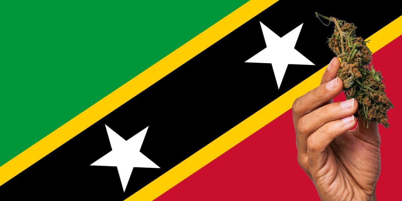Saint Kitts and Nevis flag with marijuana in front of it