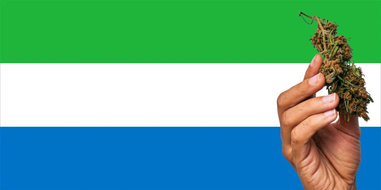 Sierra Leone flag with a hand holding a marijuana infront of it