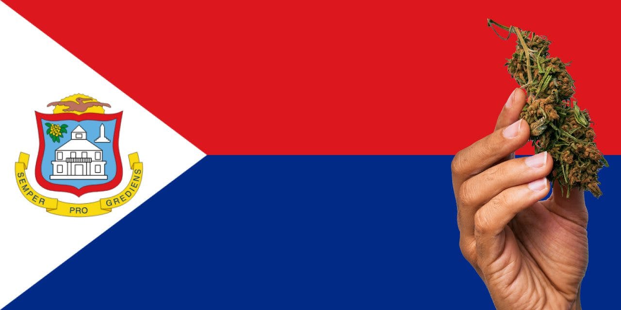 Sint Maarten flag with marijuana in front.