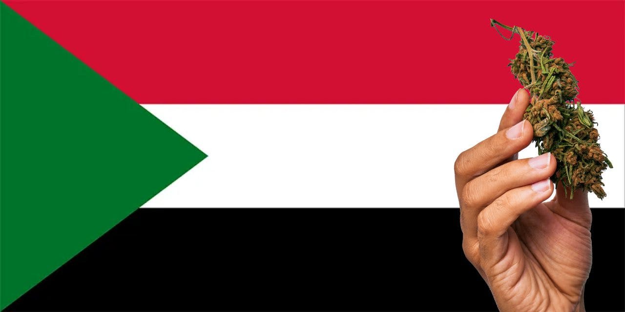 Sudan flag with marijuana in front of it