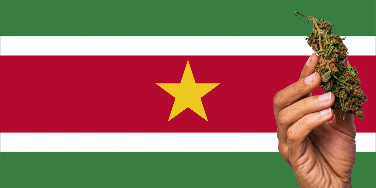 Suriname flag with marijuana in front.