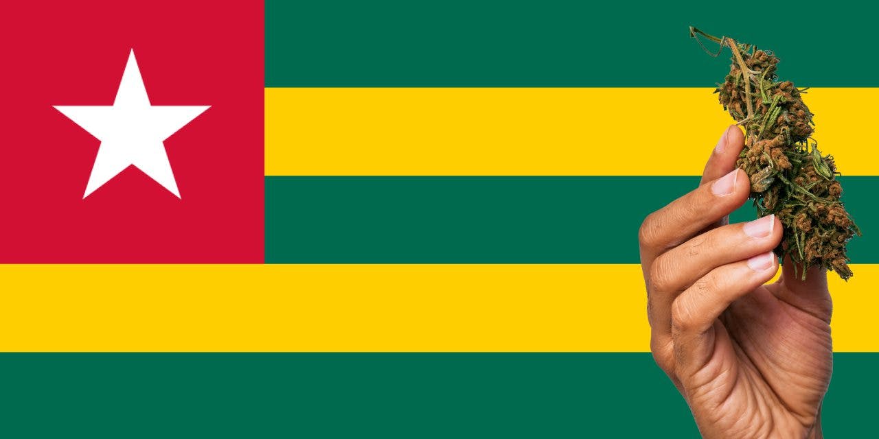 Togo with marijuana in front.
