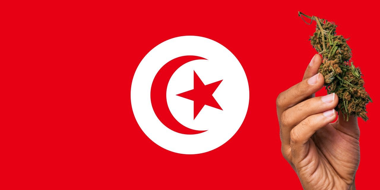 Tunisia flag with a hand holding a marijuana infront of it