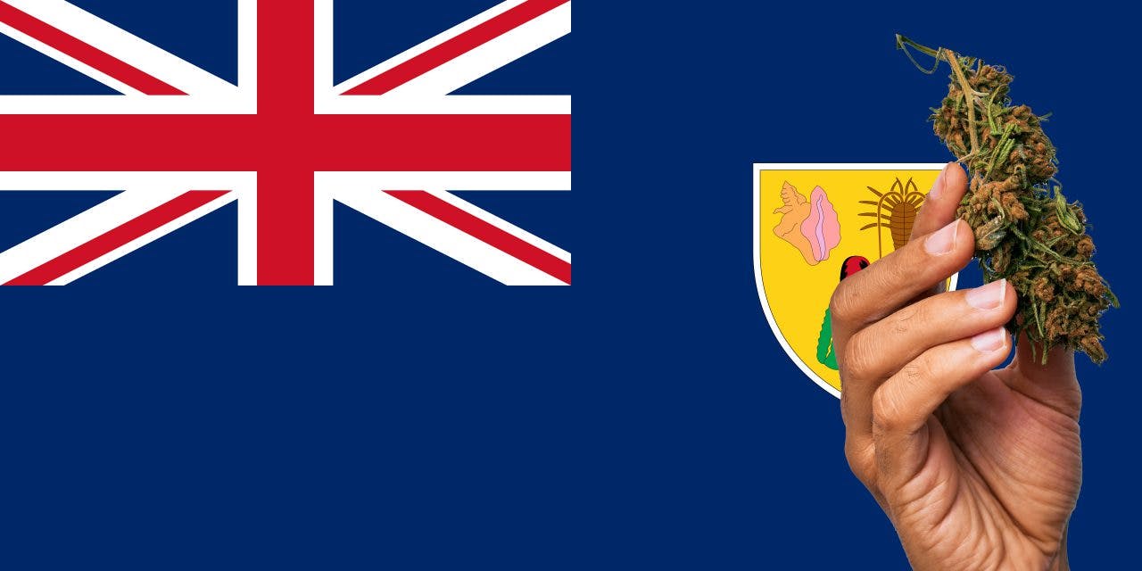 Turks and Caicos flag with cannabis in front.