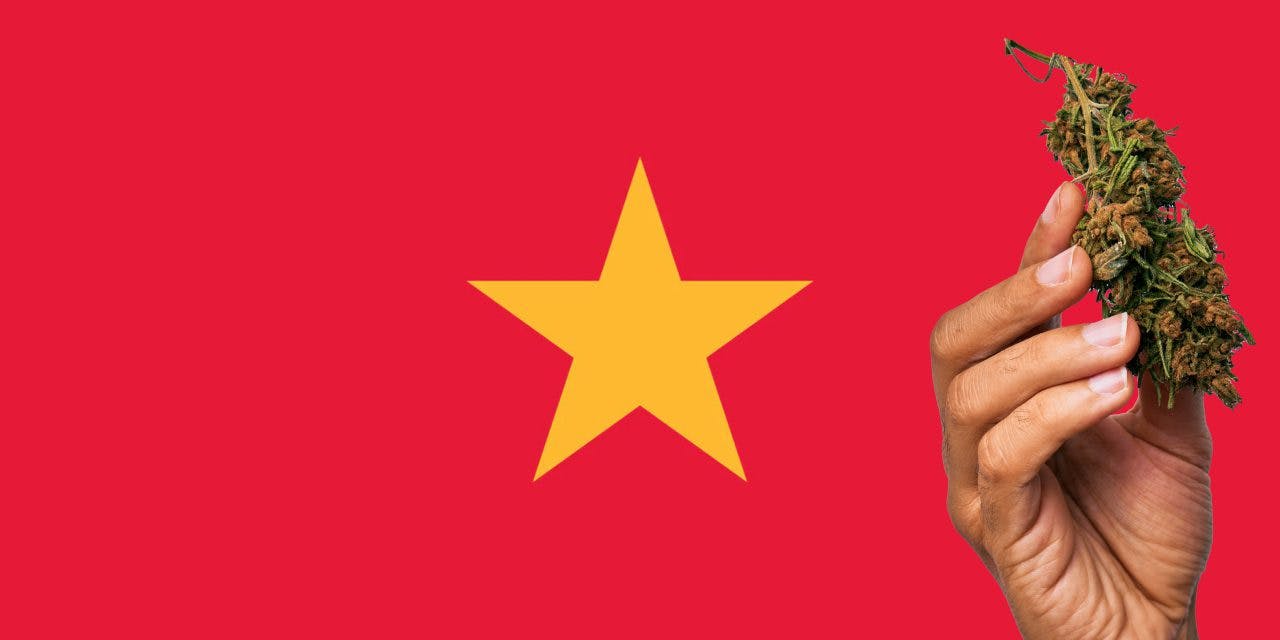 Vietnam flag with marijuana in front of it
