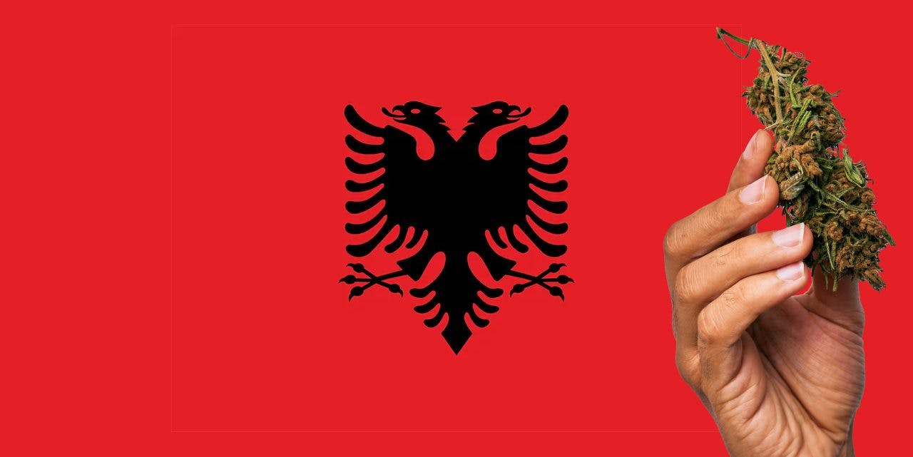 Albanian flag with hand holding marijuana nug next to it
