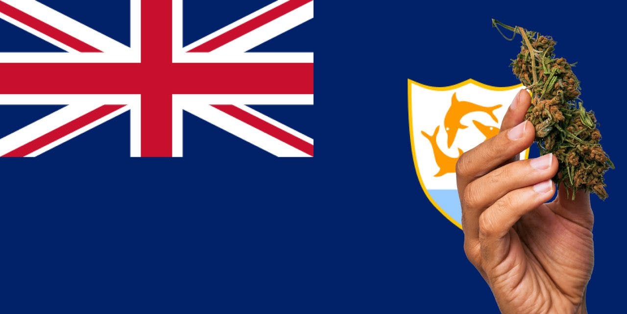 Anguilla flag with a hand holding a marijuana infront of it