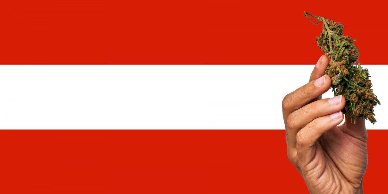 Austria flag with a hand holding a marijuana infront of it