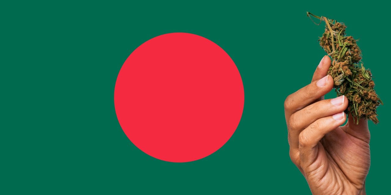 Bangladesh flag with marijuana in front of it
