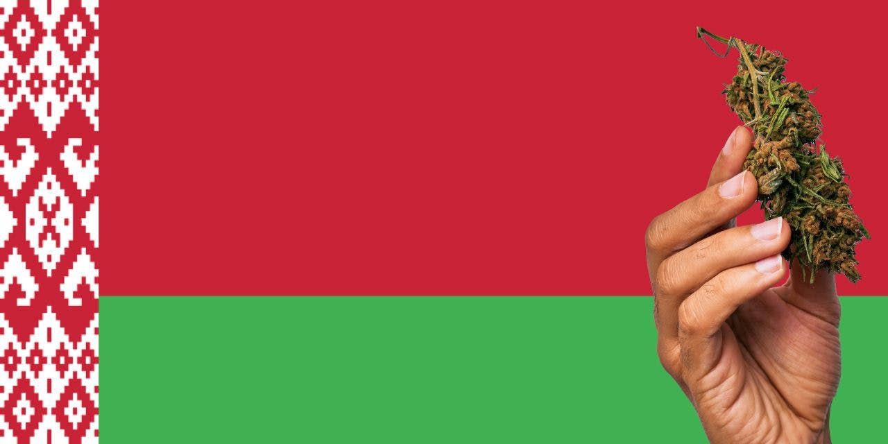 Belarus flag with a hand holding a marijuana infront of it
