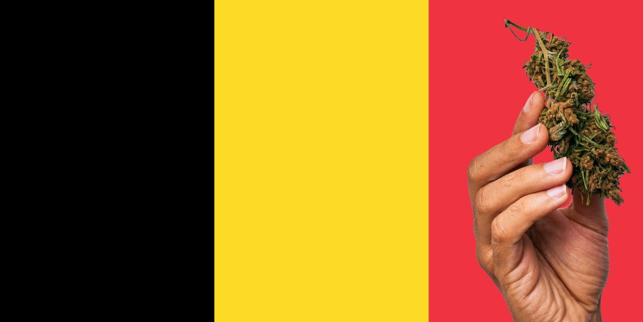 Flag of Belgium with marijuana in front.
