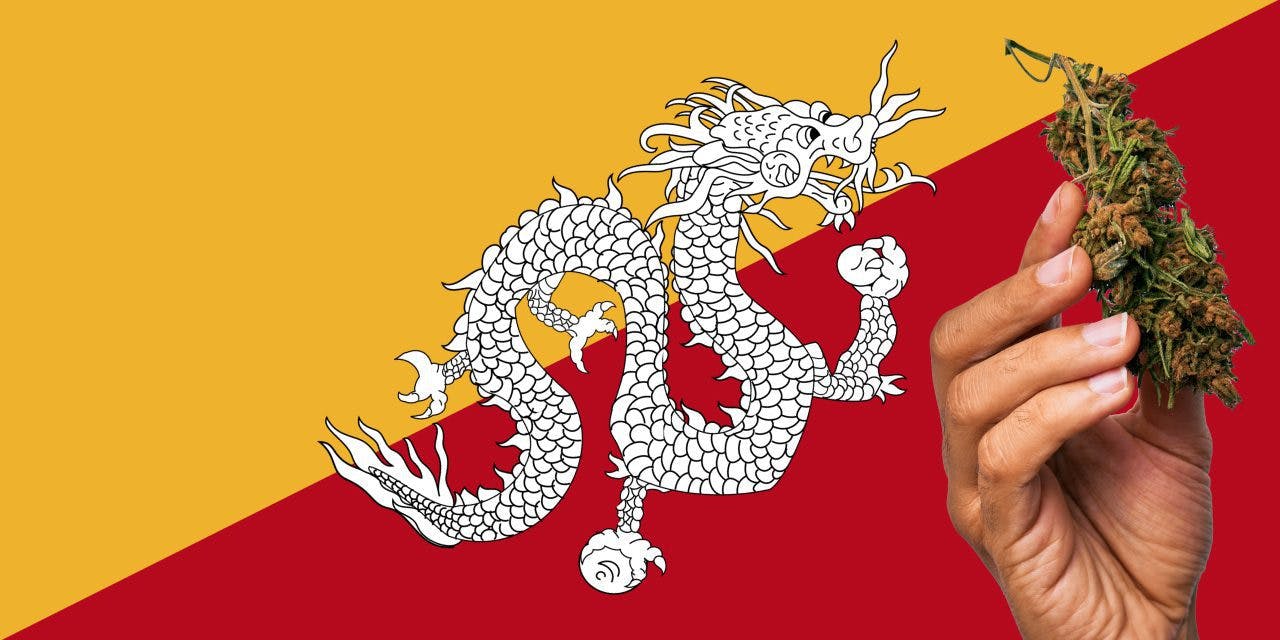 Bhutan flag with marijuana in front of it