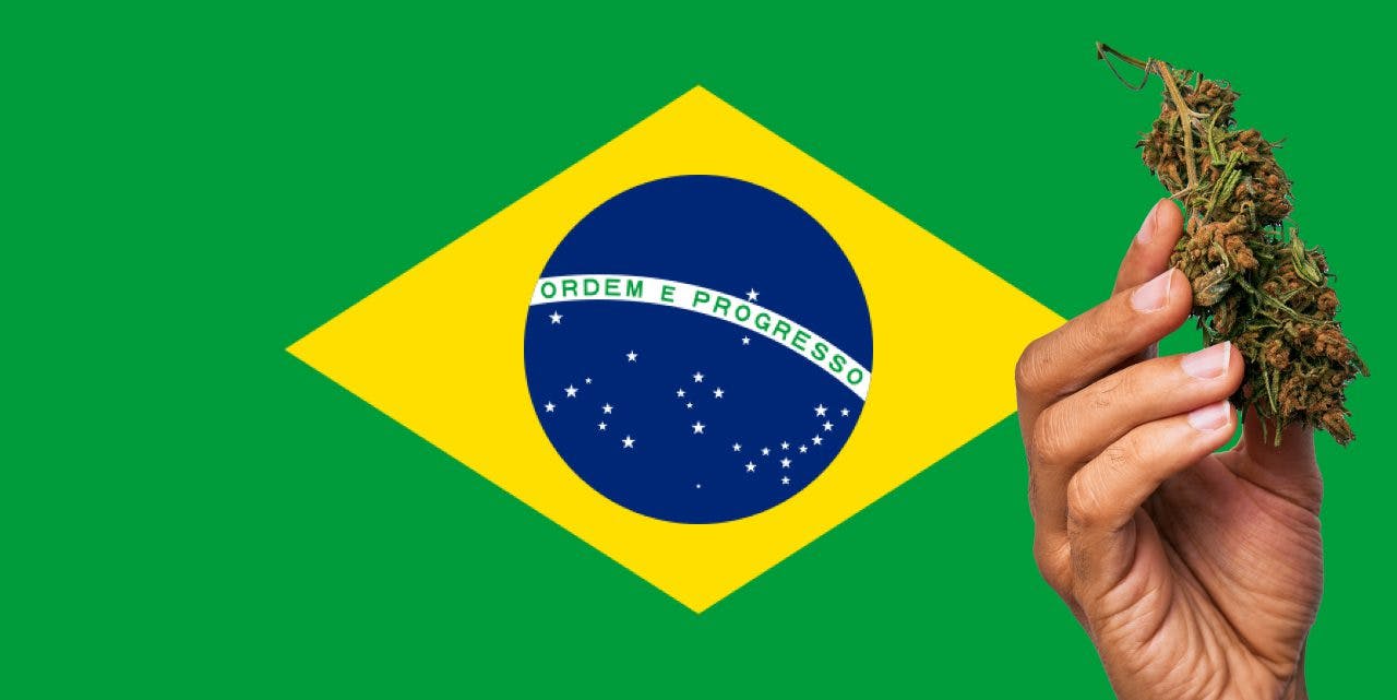 Brazilian flag with marijuana in front