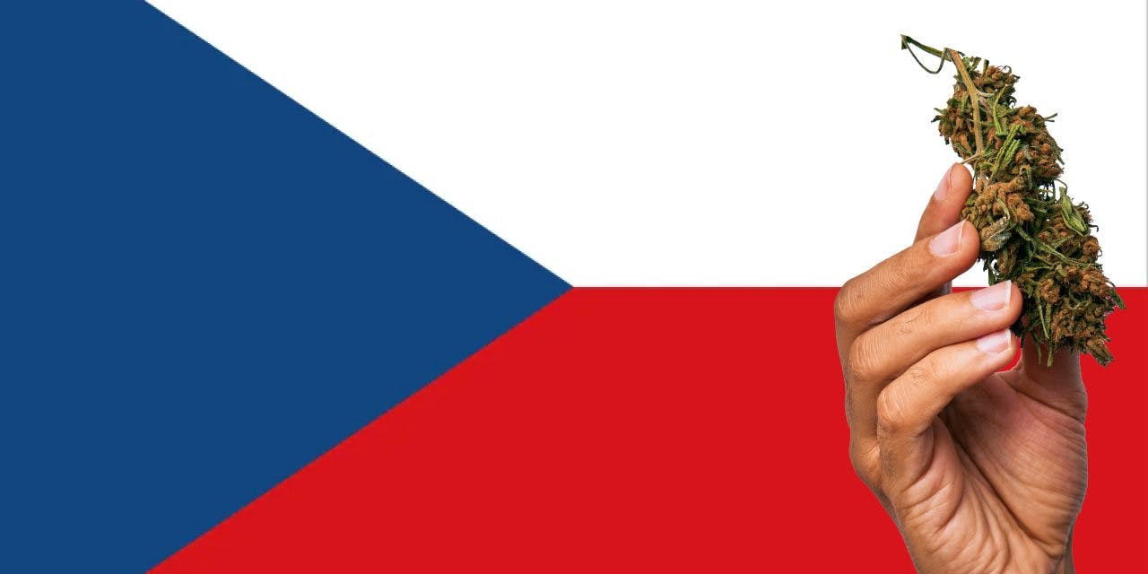 Czech Republic flag with a hand holding a marijuana infront of it