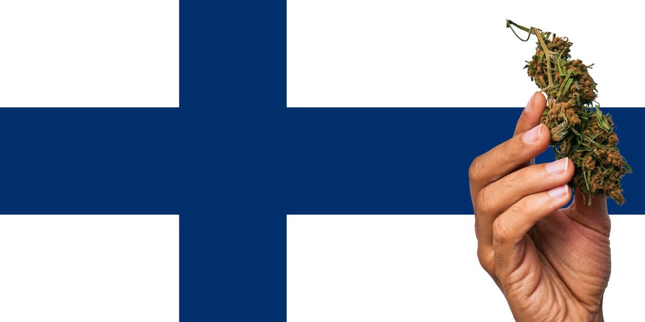 Finland flag with a hand holding a marijuana infront of it