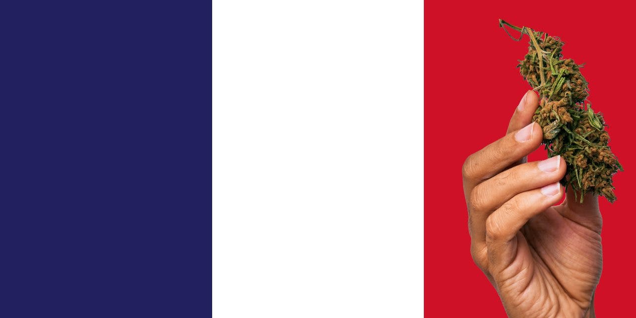 France flag with a hand holding a marijuana infront of it