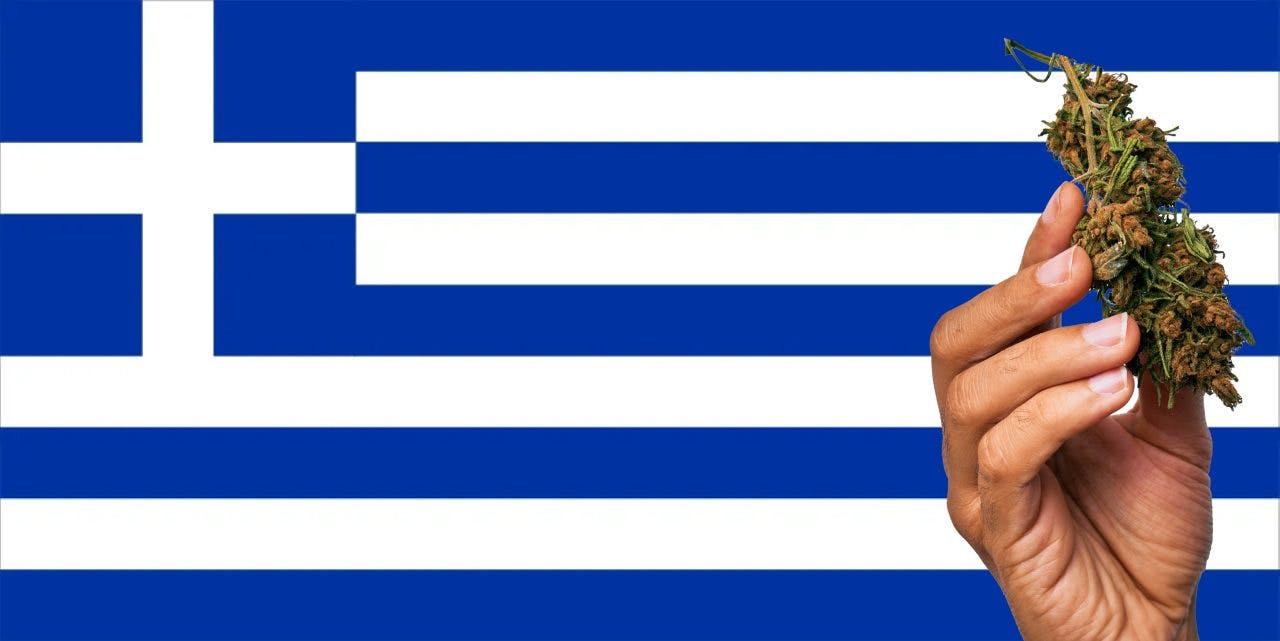Greece flag with marijuana in front of it
