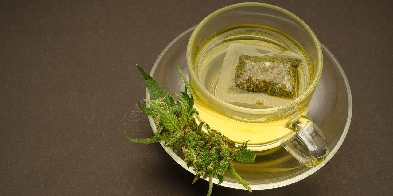 cup of cannabis tea with a small branch of cannabis plant