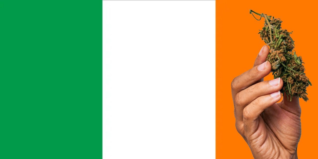 Irish flag with marijuana in front.