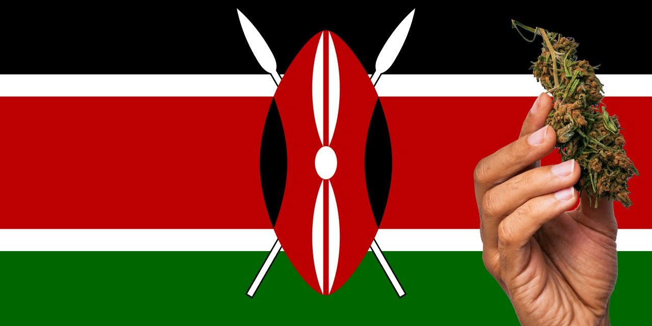Kenya flag with a hand holding a marijuana infront of it