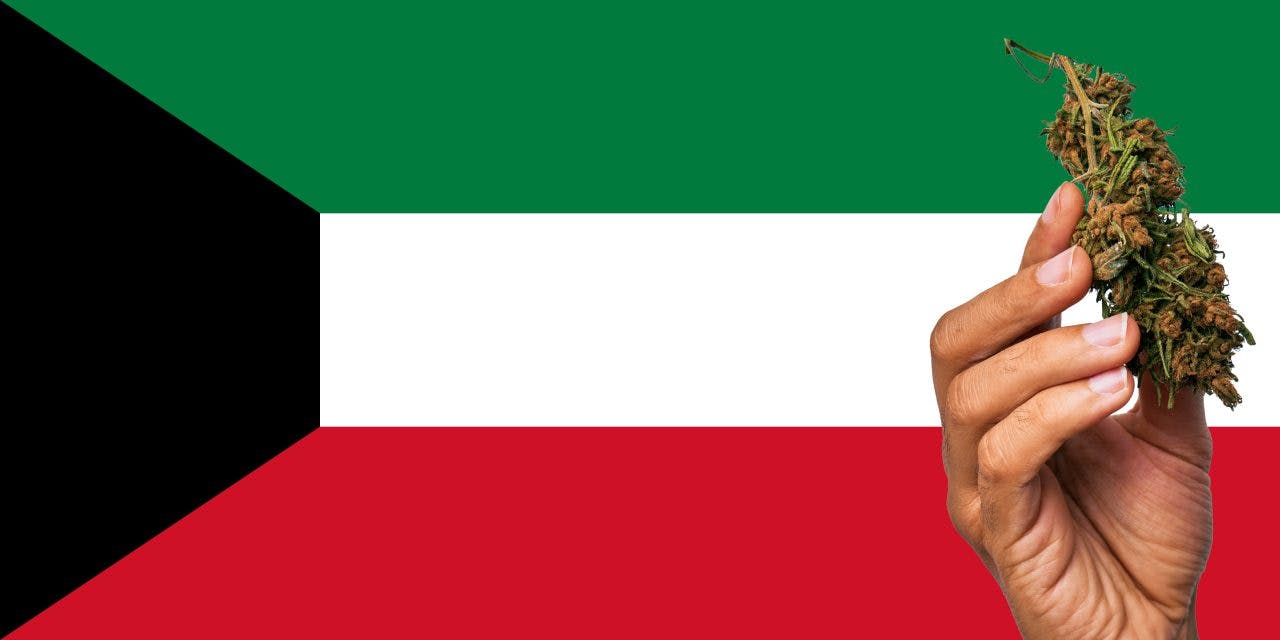 Flag of Kuwait with marijuana in front.