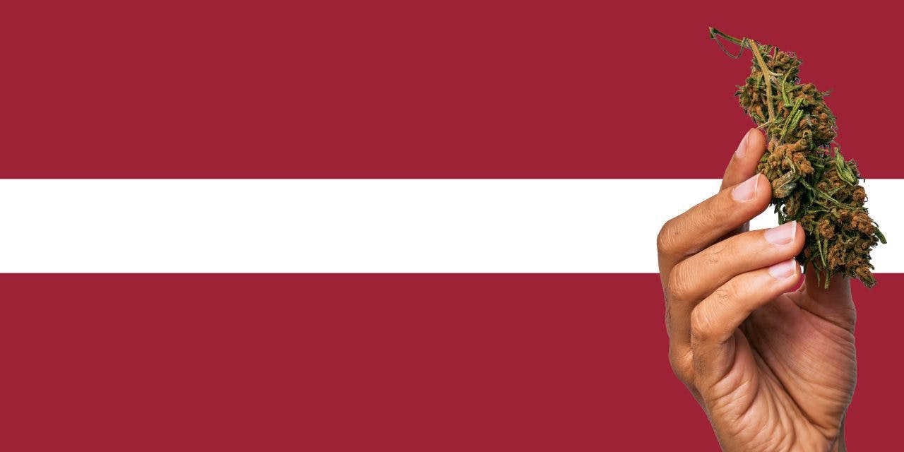 Latvia flag with a hand holding a marijuana infront of it