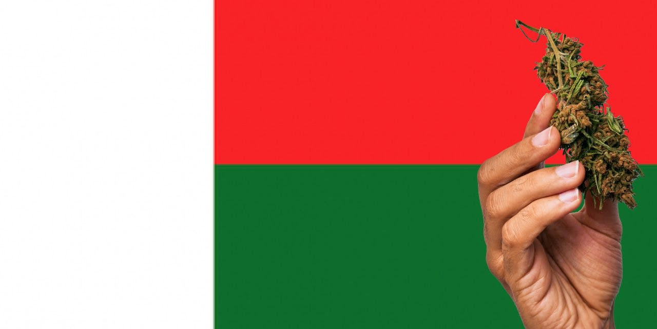 Madagascar flag with a hand holding a marijuana infront of it