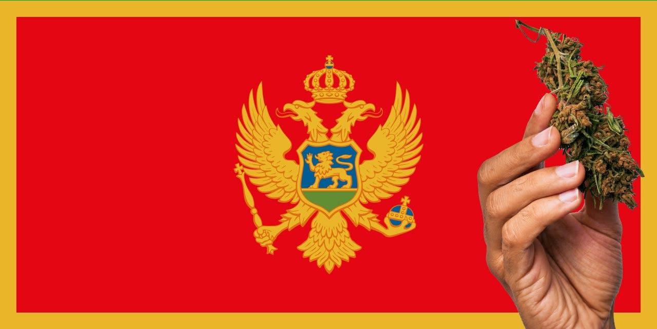 Montenegro flag with a hand holding a marijuana infront of it