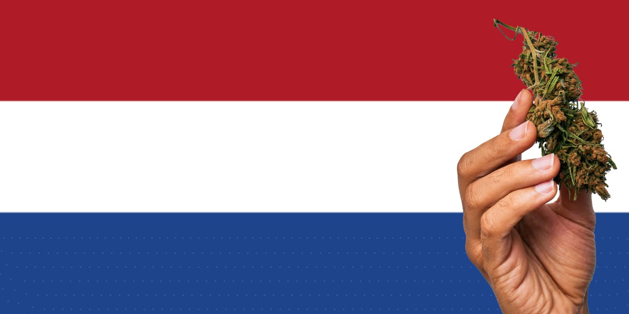 Netherlands flag with a hand holding a marijuana infront of it