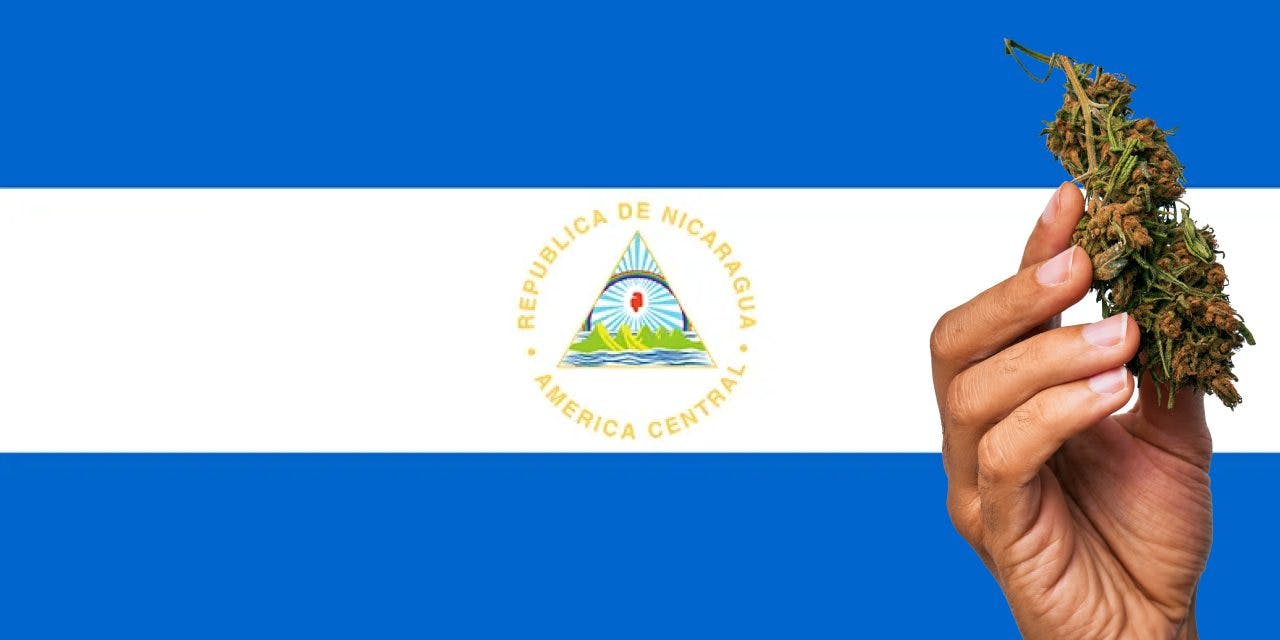 Nicaragua flag with a hand holding a marijuana infront of it