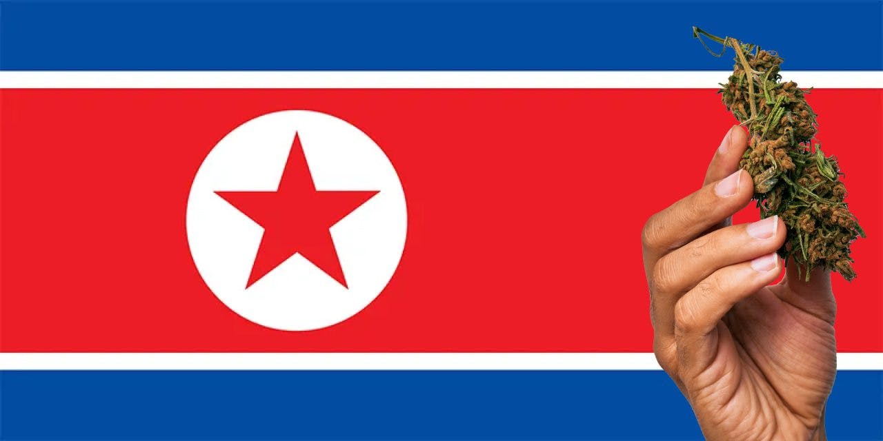 North Korean flag with marijuana in front.