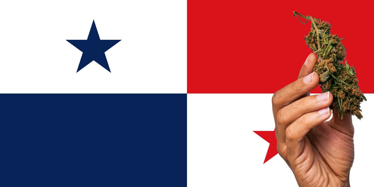 Panama flag with a hand holding a marijuana infront of it