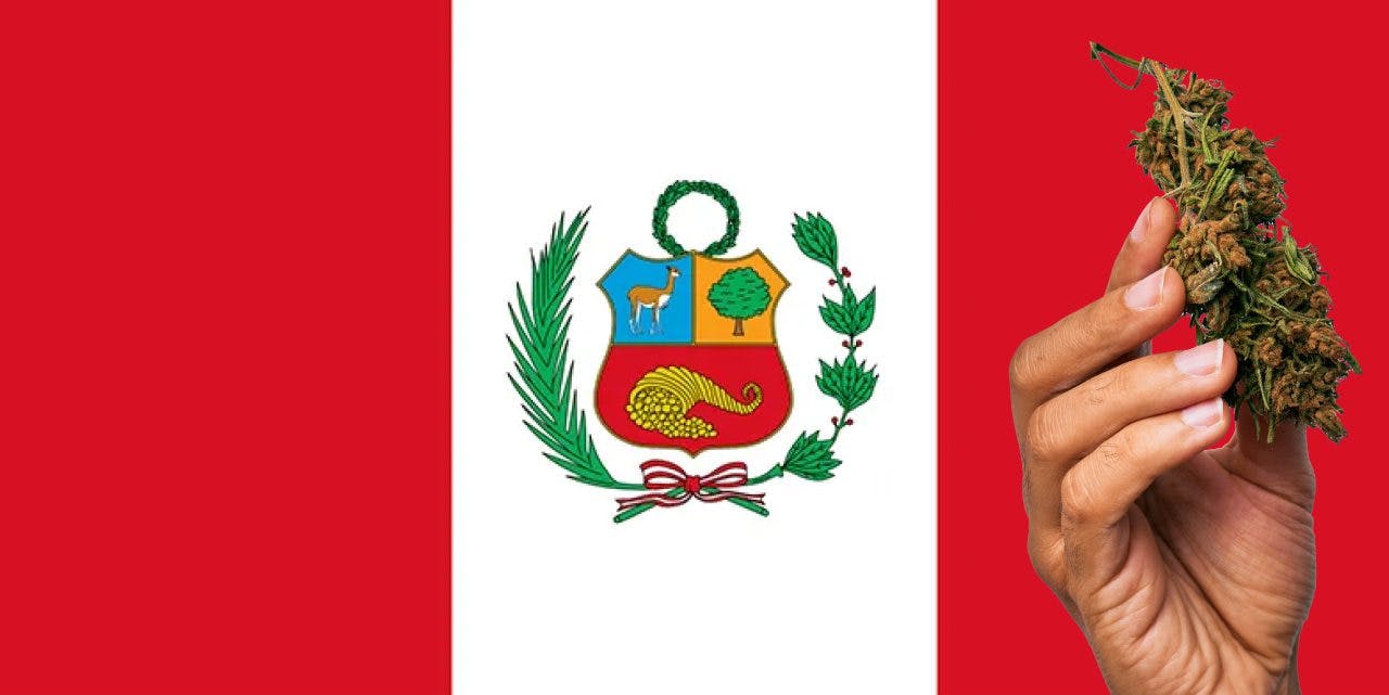 Peru flag with a hand holding a marijuana infront of it