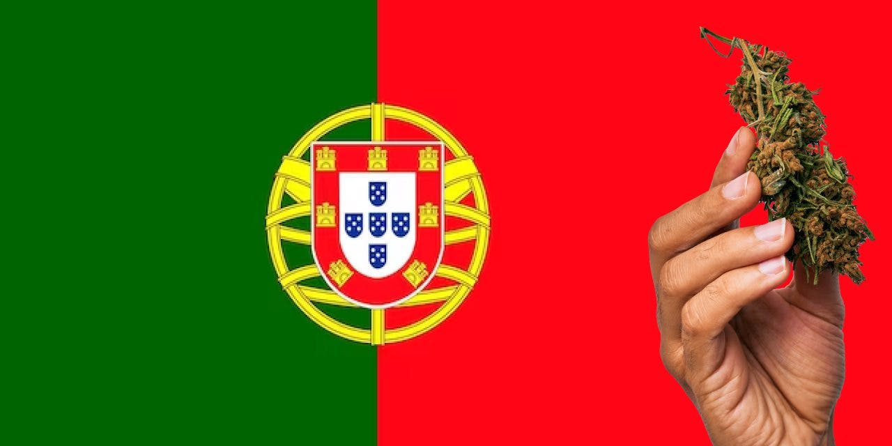 Portugal flag with marijuana in front of it