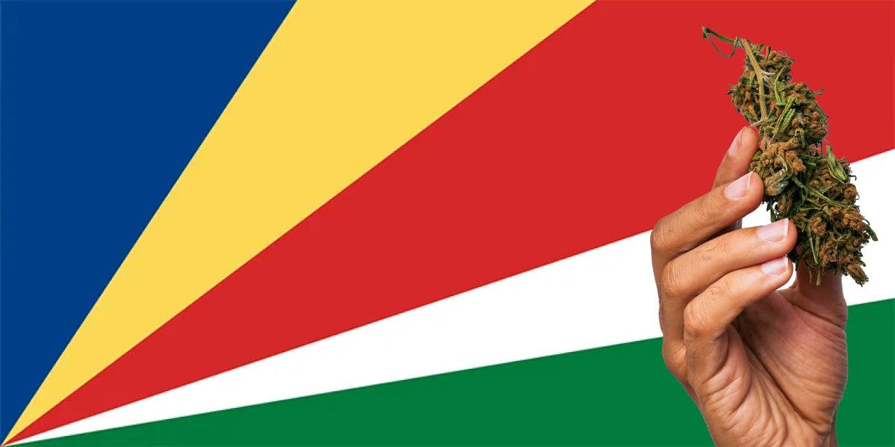 Seychelles flag with a hand holding a marijuana infront of it