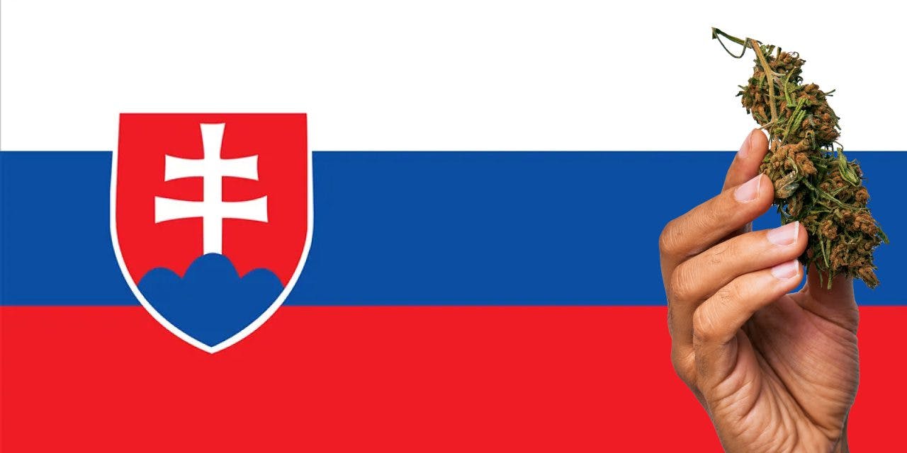 Slovakia flag with a hand holding a marijuana infront of it