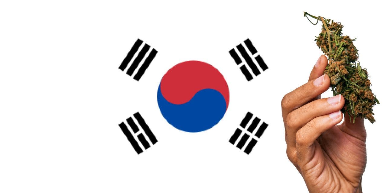 South Korea flag with a hand holding a marijuana infront of it
