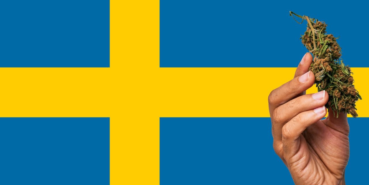 Sweden flag with marijuana in front of it