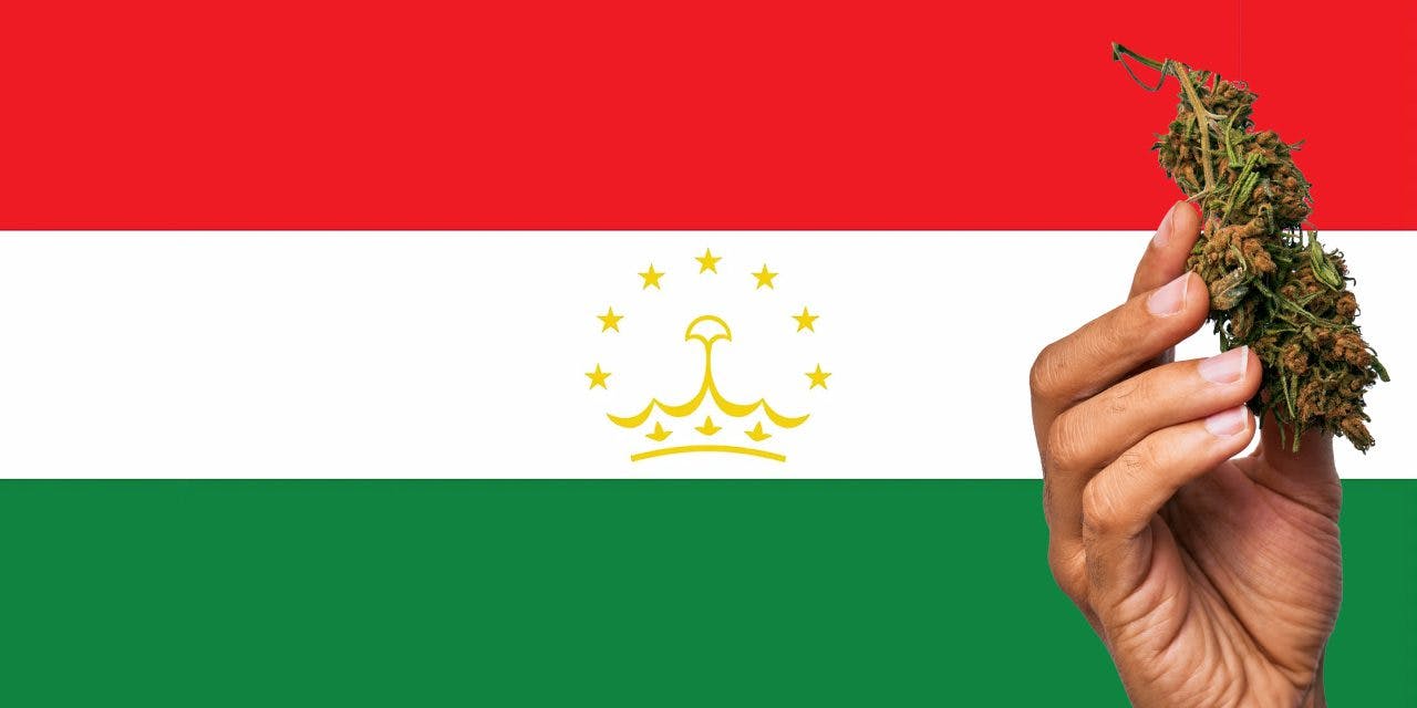 Flag of Tajikistan with marijuana in front.