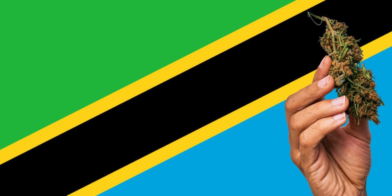 Tanzania flag with a hand holding a marijuana infront of it