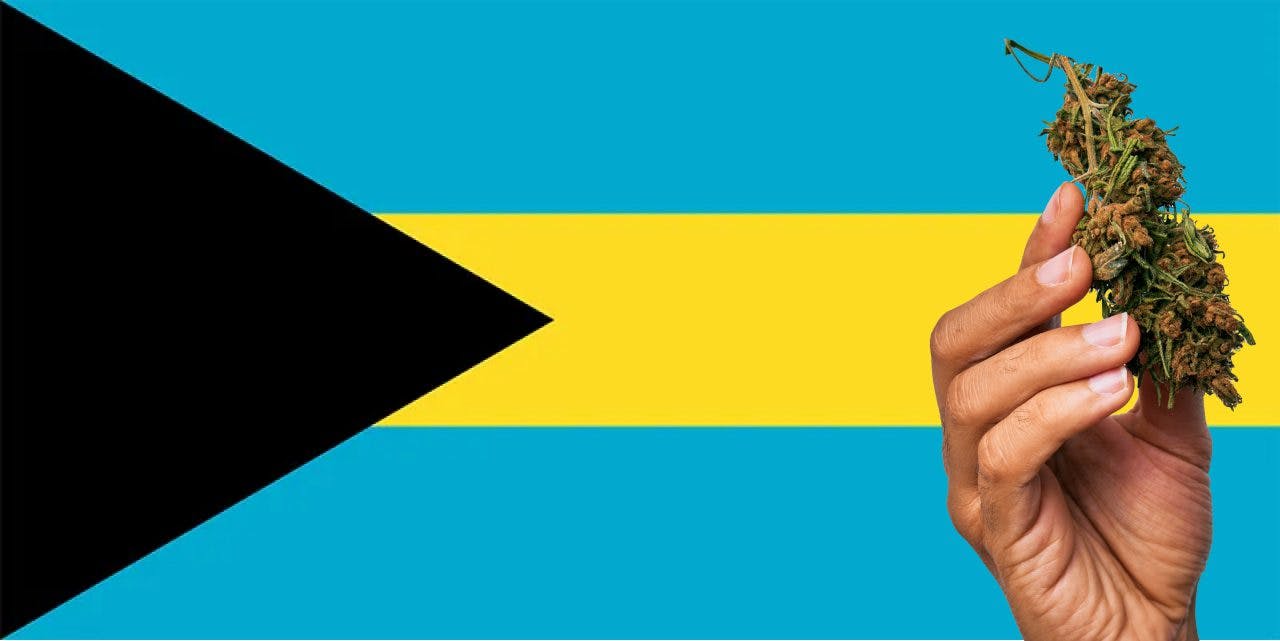 The Bahamas flag with a hand holding a marijuana infront of it