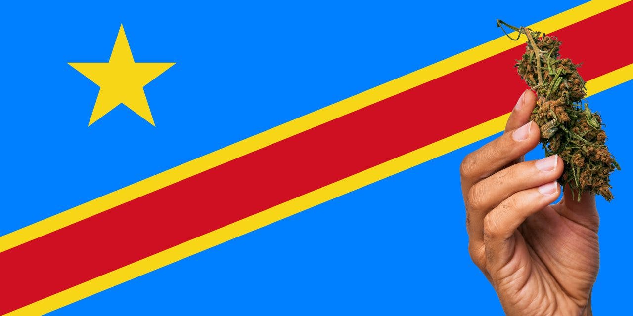 Congolese flag with marijuana in front.