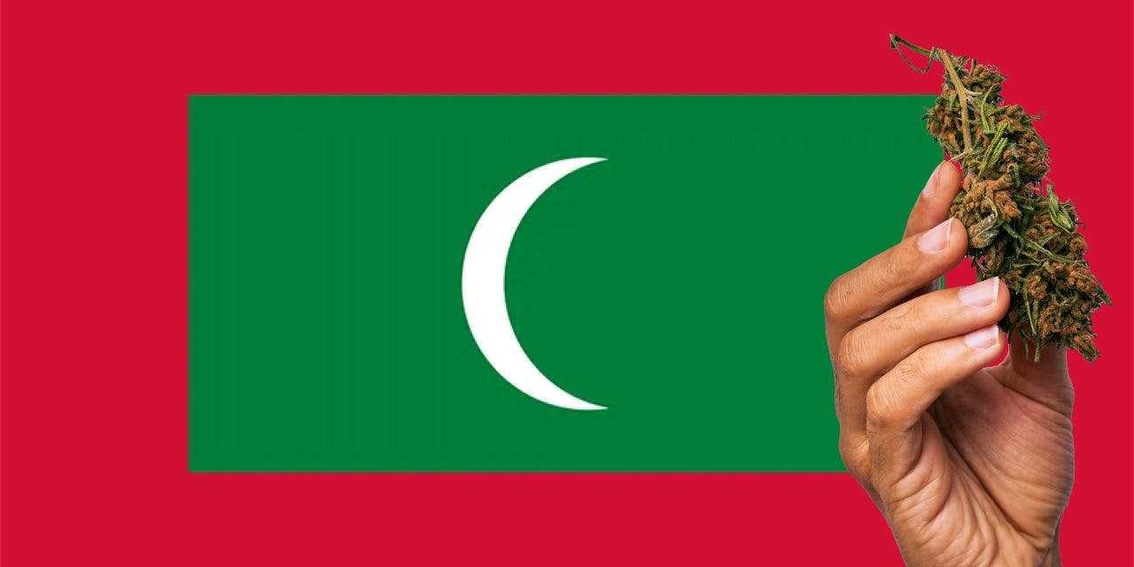 The Maldives flag with a hand holding a marijuana infront of it