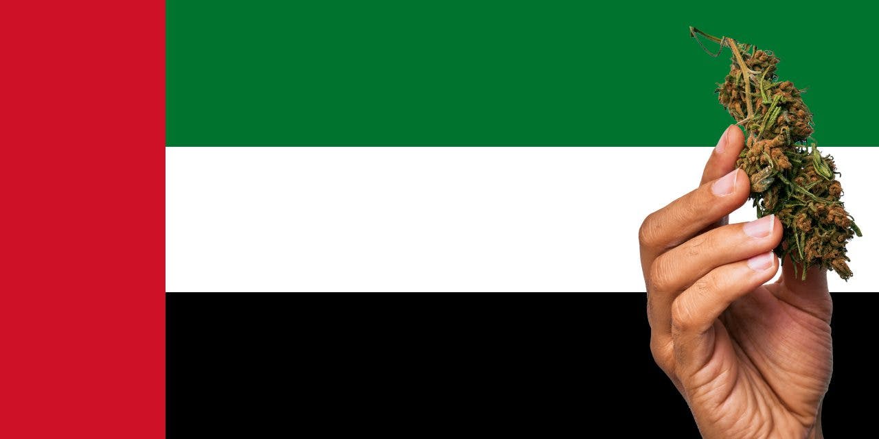 The United Arab Emirates flag and a hand holding a nug of marijuana