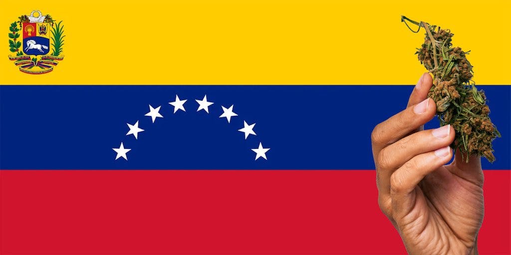 Venezuelan flag with marijuana next to it
