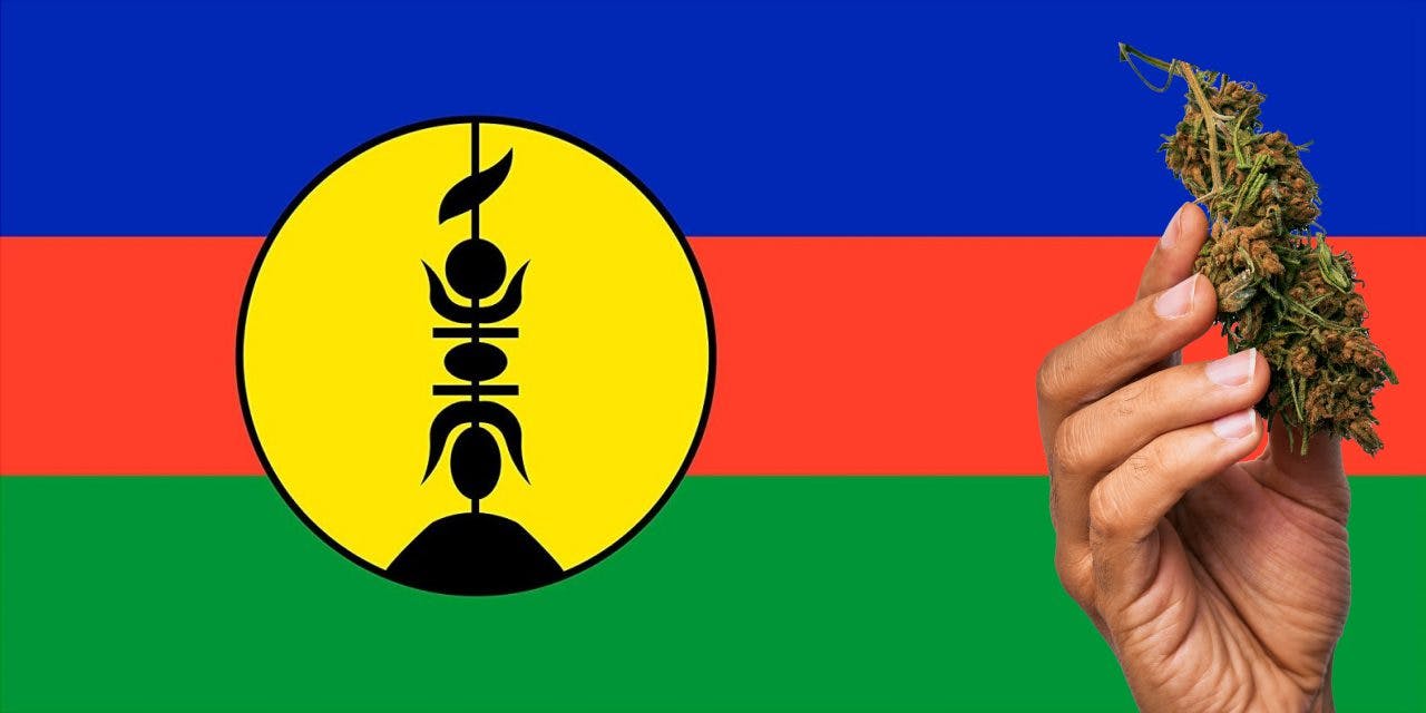 New Caledonia flag with a hand holding a marijuana infront of it