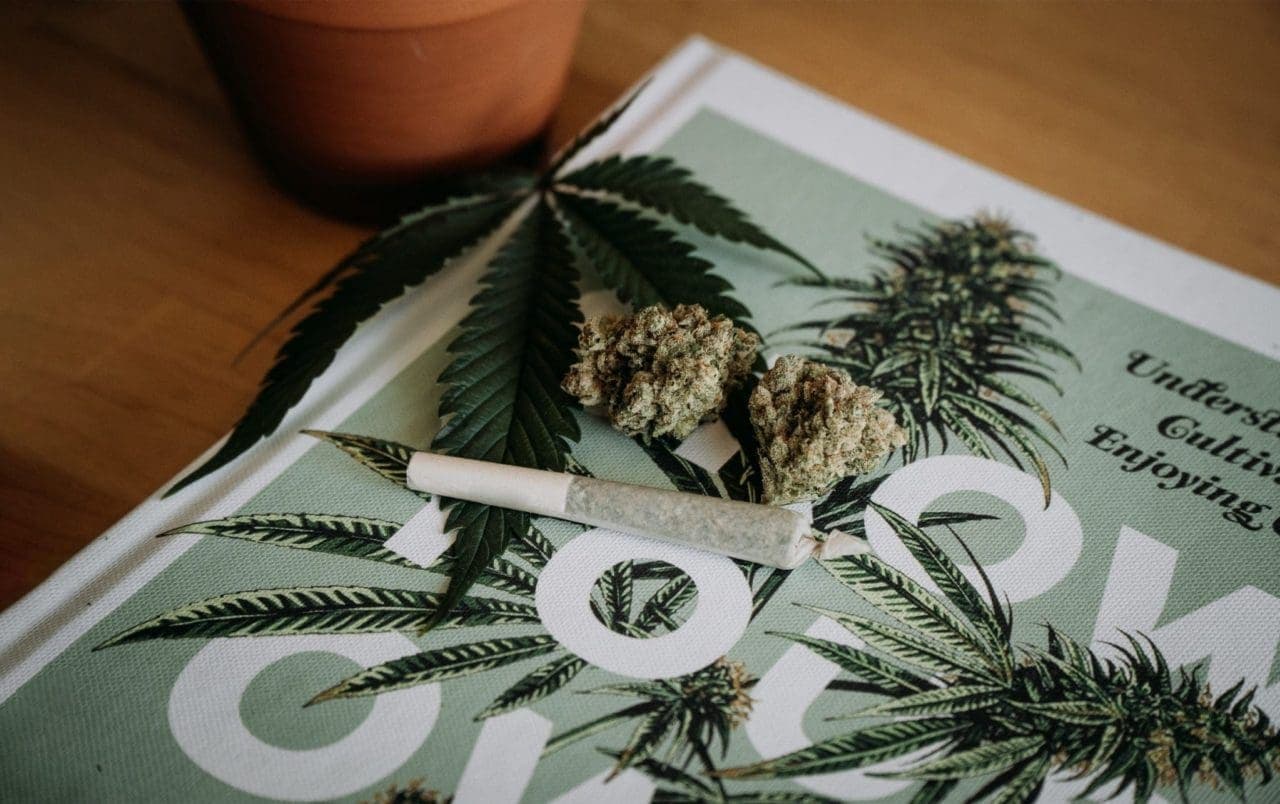 Cannabis Tolerance How It Happens and How to Fix It